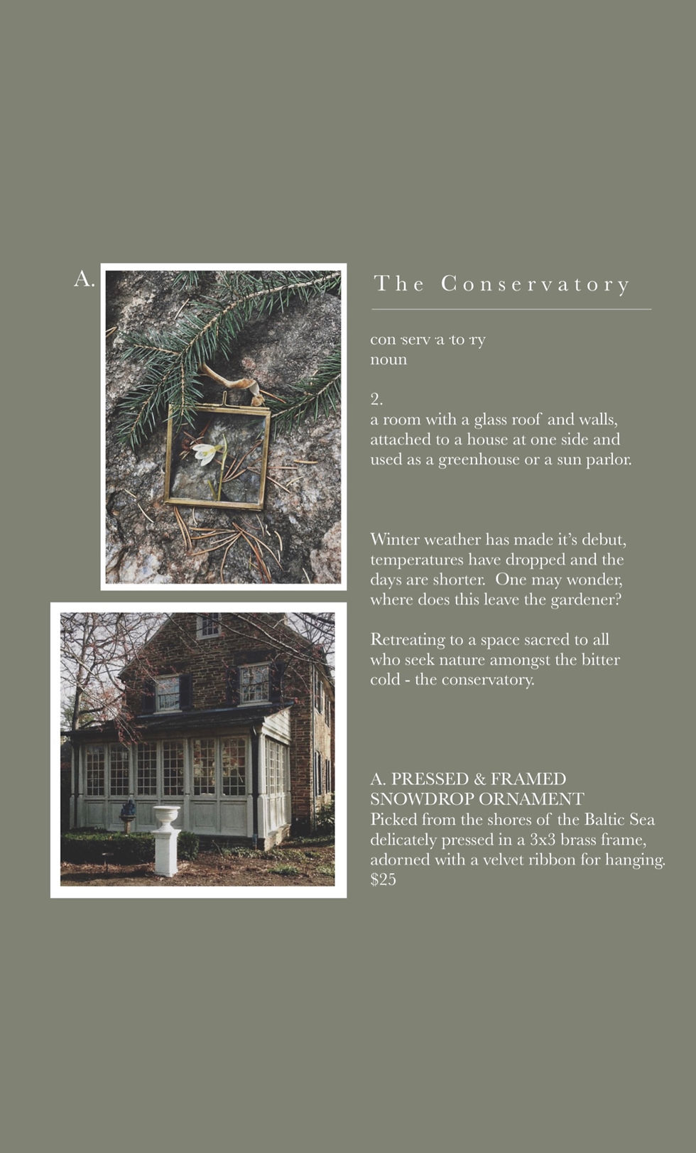 Thumbnail: Pressed & Framed Snowdrop Ornament