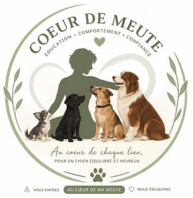 ChatGPT Image May 11, 2026, 03_47_45 PM_