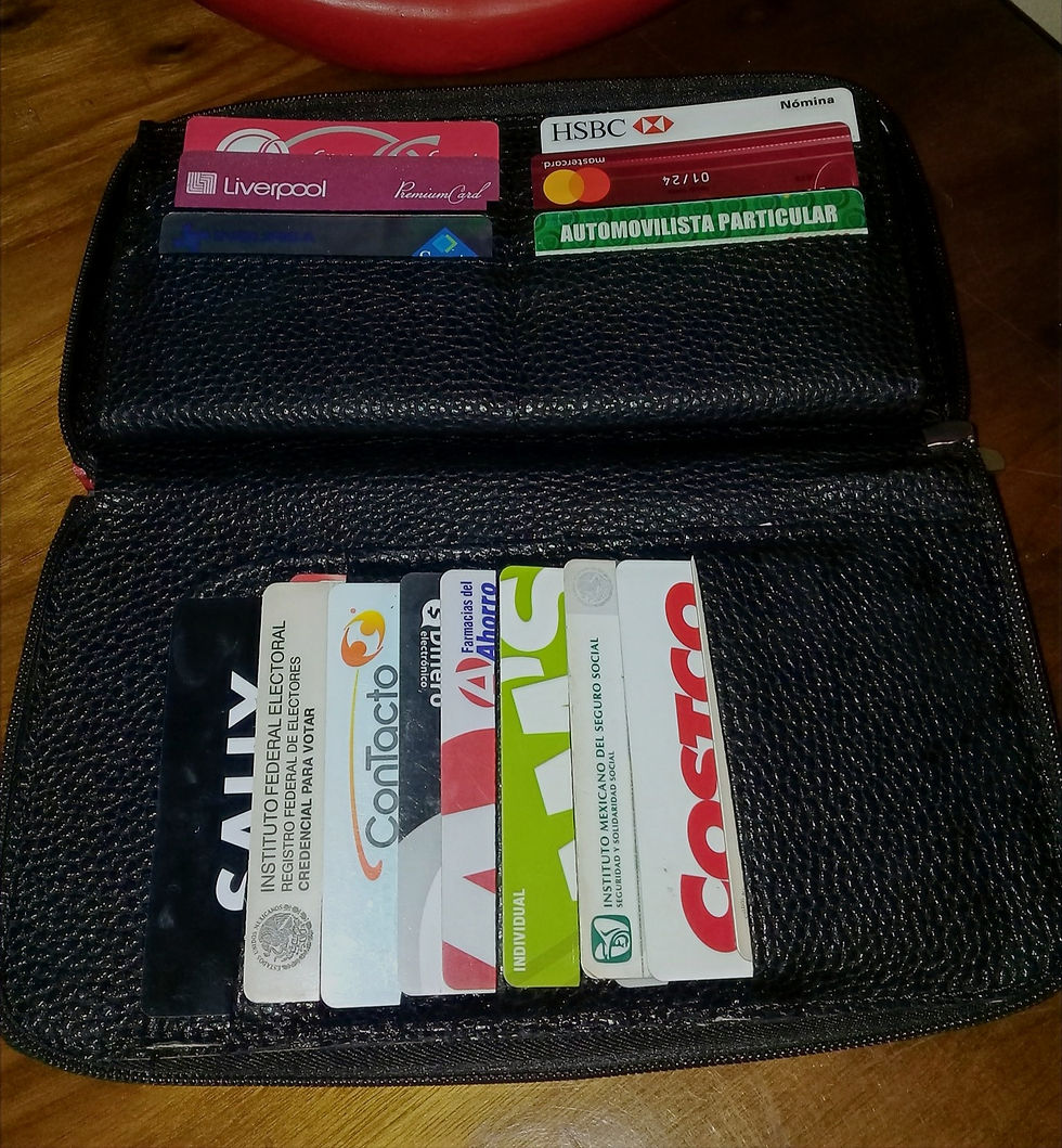 Miniatura: CARTERA