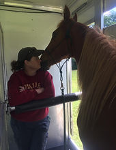 IMG_2830.jpeg