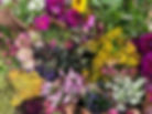 IMG_7614.jpeg