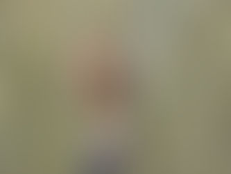 Aguilucho Langostero - Butero swainsoni - Familia: Accipitridae