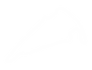 vir.png