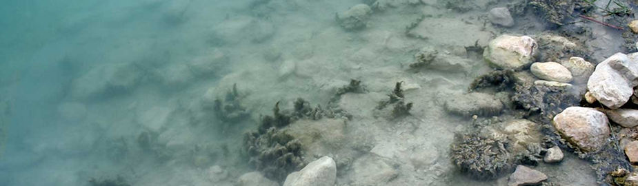 rocks