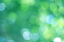AdobeStock_318054215.jpeg