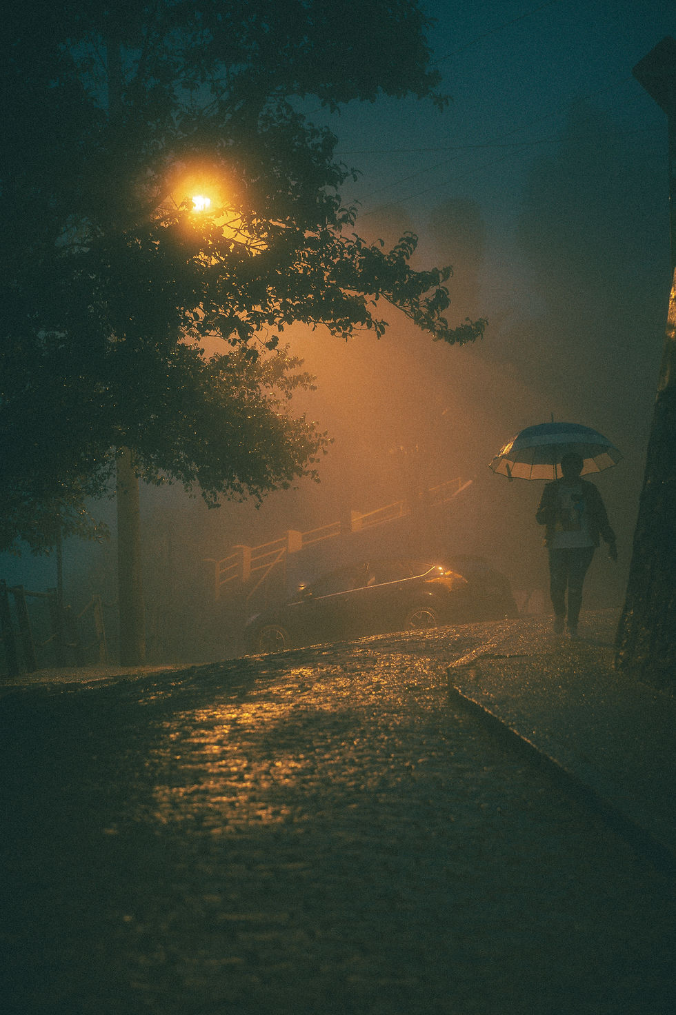 Caminhando Por: Gabriel Carlos ll