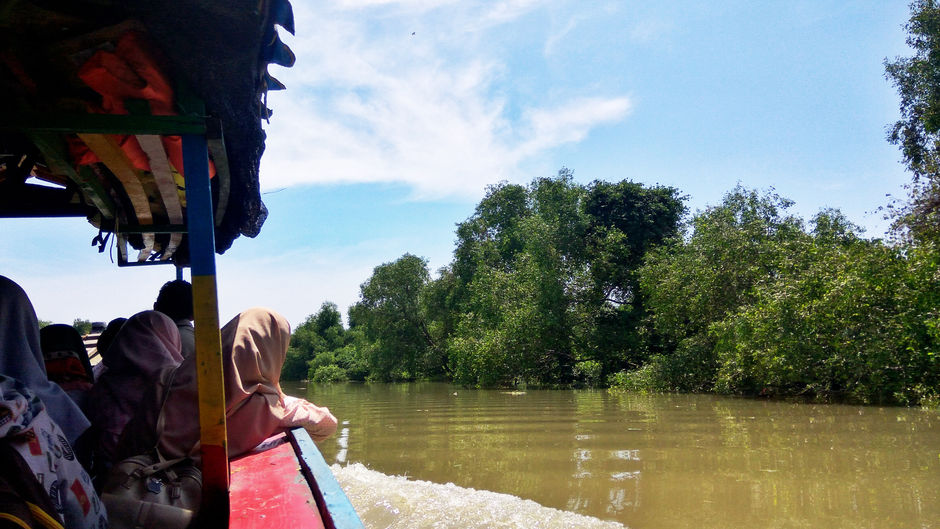 3 Hal yang Wajib Dilakukan di Mangrove Wonorejo
