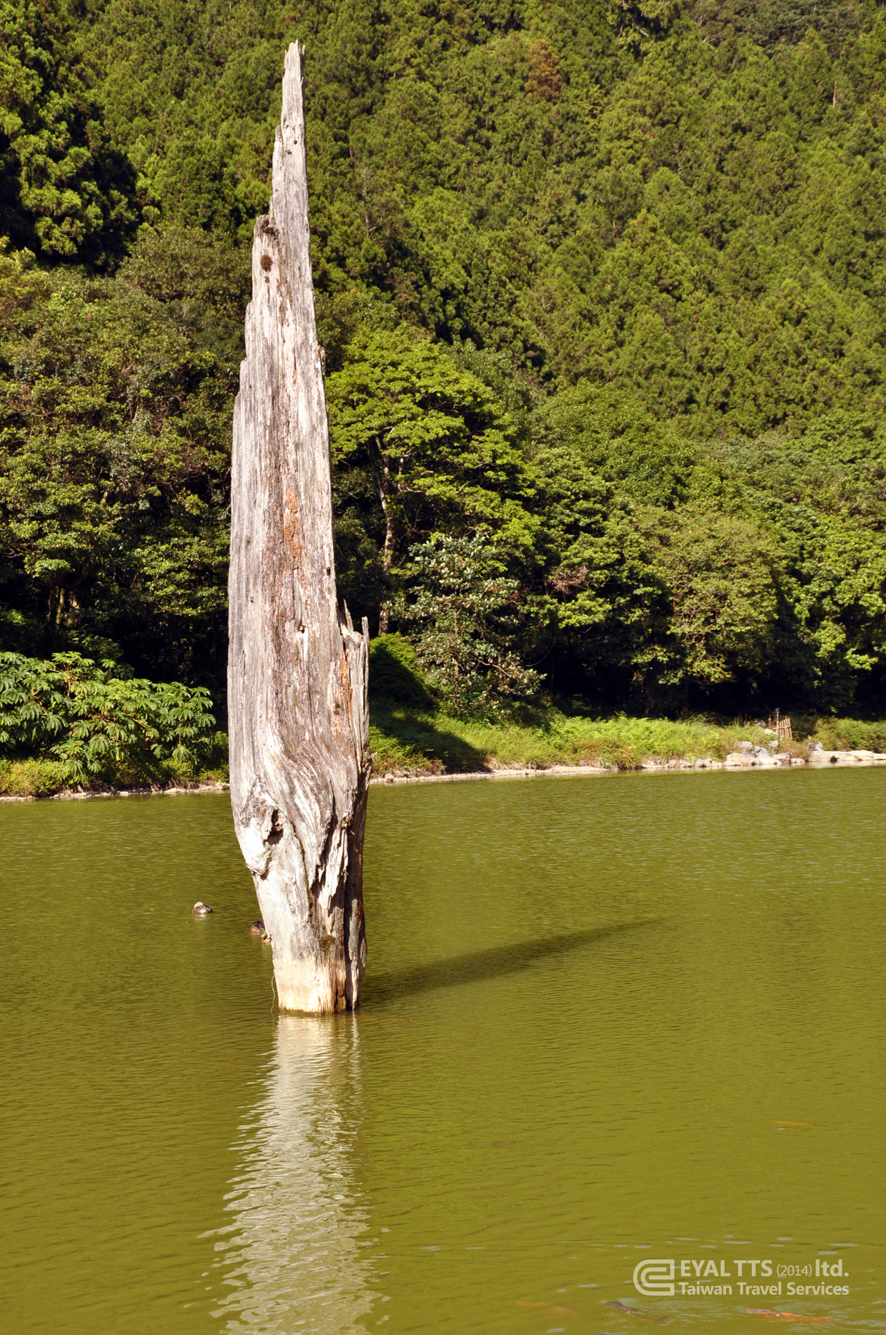 Taiwan pic 23