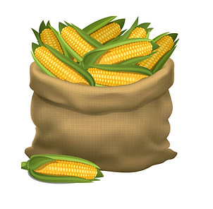 Maize Starch Based Gulal