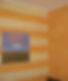decorazione ad encausto con stucco sintetico 2_edited.jpg