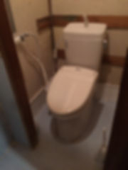 IMG_6820.jpeg