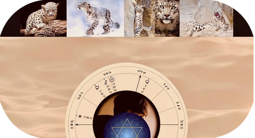 test lion_edited.png