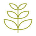 13.png