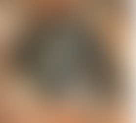 On the clutch size of Geophis omiltemanus (Squamata: Dipsadidae) in the Sierra Madre del Sur, Mexico