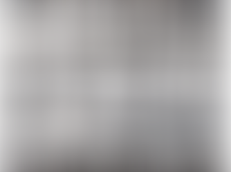 ¡Feliz día internacional de la serpiente!