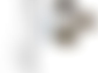 Análisis filogeográfico de Crotalus ravus, una especie de víbora endemica a México.