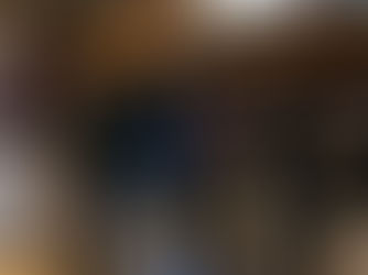 Taller de Anfibios y Reptiles