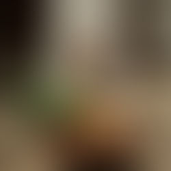 The Fiber Edit: The Powerhouse of Modern Nutrition