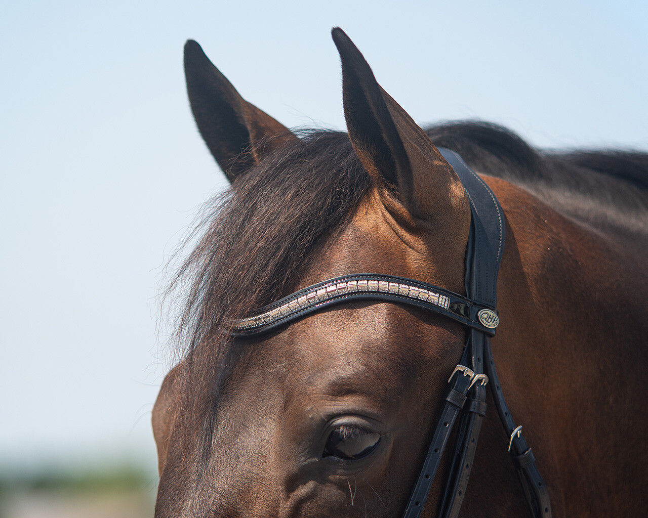 Bridon d'équitation Sita