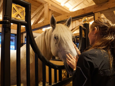 Notre expérience à votre service