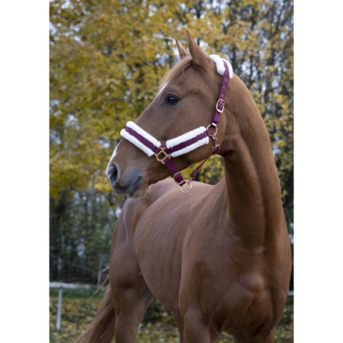 Licol Confort Norton – Doublure Polaire Douce, Marine – Protection & Ajustement Parfait Pour Cheval
