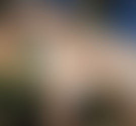 Comment apprendre a son chiot à rester seule