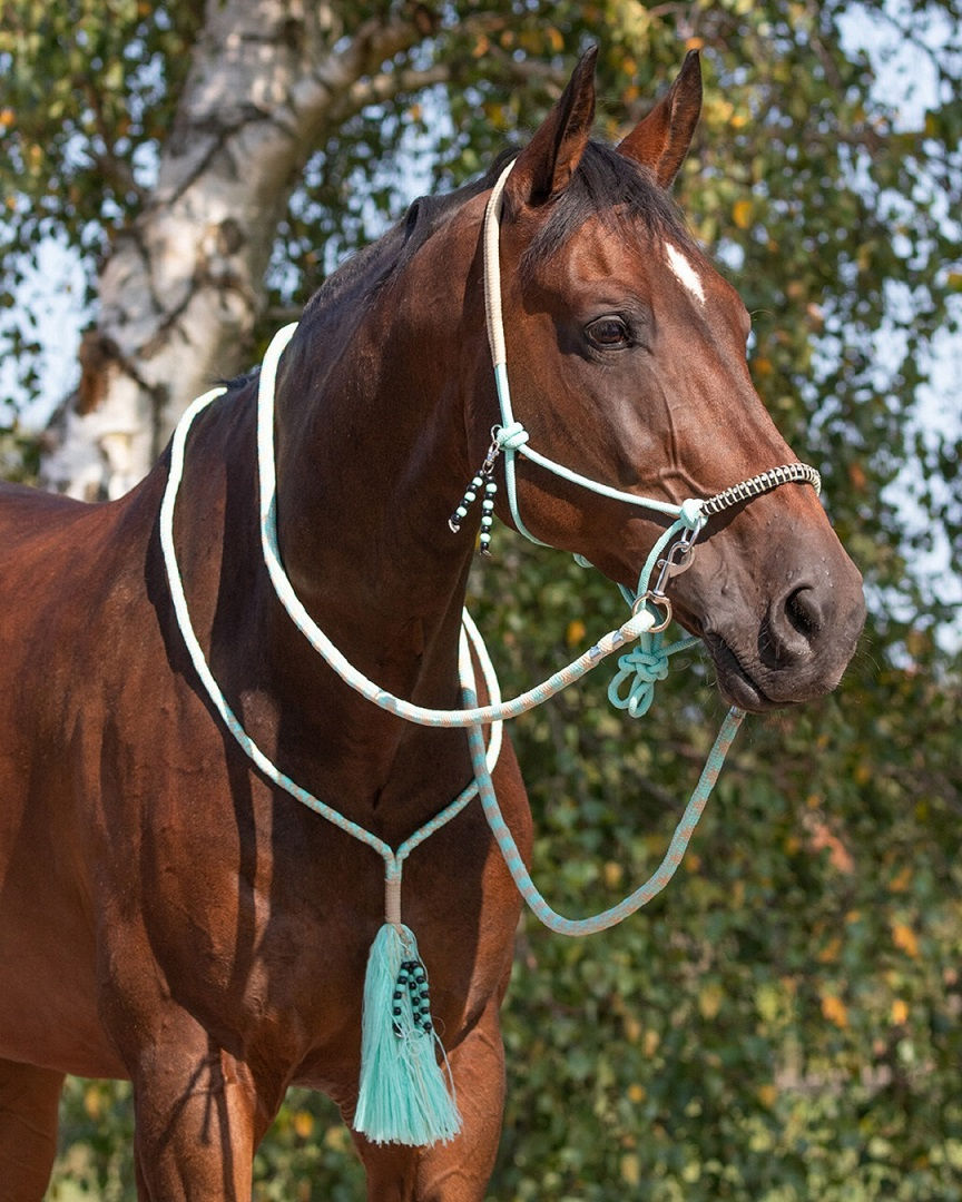 Miniature : Licol éthologiqu en corde combi Liberty d'équitation