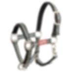 Licol poulain poney XS couleur vert et réglable