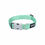 Miniature : Collier et Laisse  Vert Pastel Red Dingo pour chien