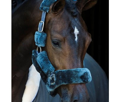 Qu'est ce qu'un licol?