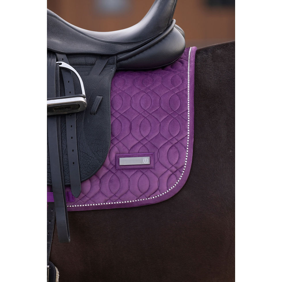 ARMA Tapis De Selle Coupe Euro Pour Chevaux - Contouré Matelassé Respirant