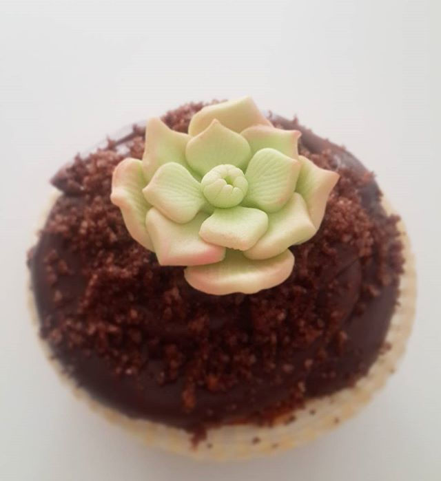 Succulent Cupcake