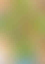 Vivid green watercress, pea, mint soup is served in four bowls and topped with marinated feta cheese.