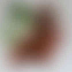 A medium-rare fillet of beef served with broccoli and other accompaniments