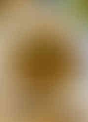 Crisp roast potatoes are plated with fresh chives and served on a layer of homemade mayonnaise.