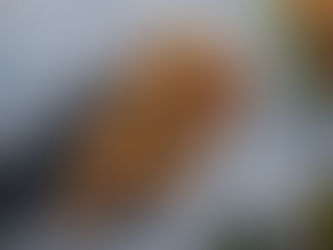 Valentine's Day: Bruschetta Recipe