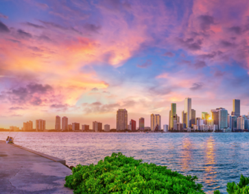 MIAMI.png