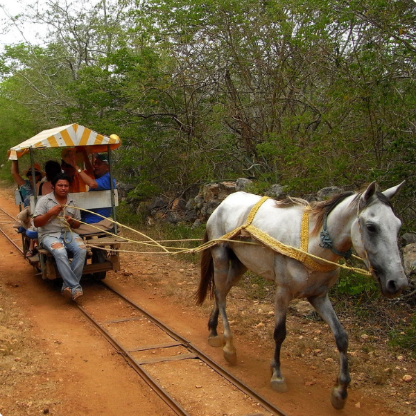 merida 5 (1)