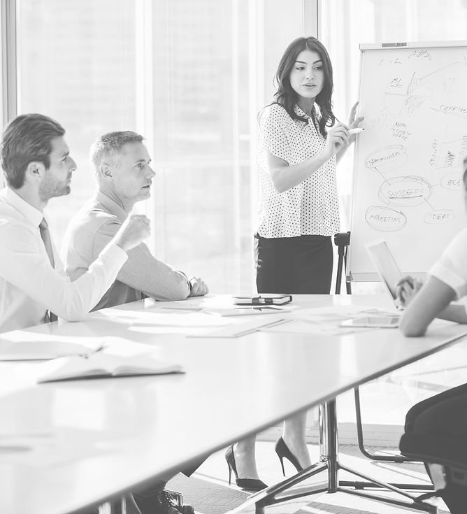 Business Presentation_edited.jpg