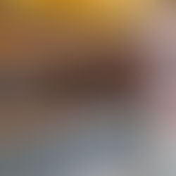 新店舗に行きました