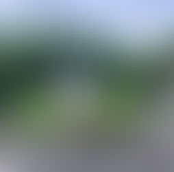 蛍の季節がやってきました