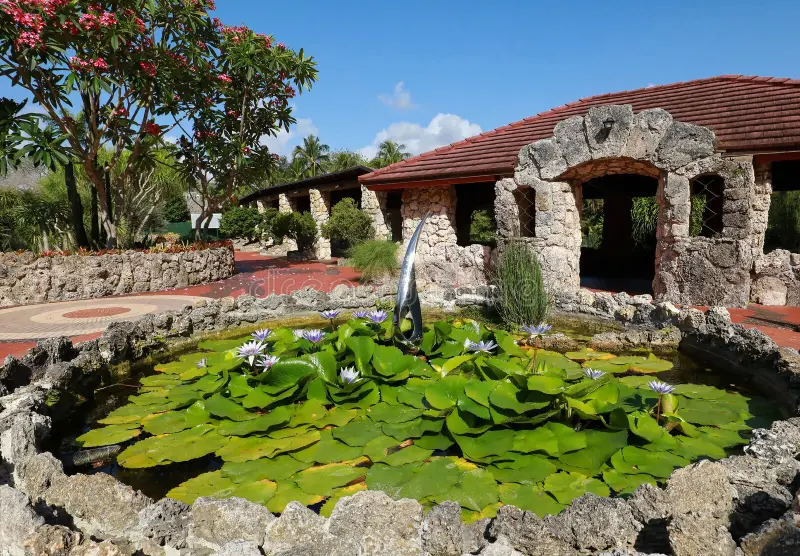 pinecrest gardens water lilies 
