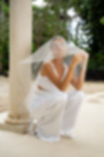 THE GISELLE VEIL