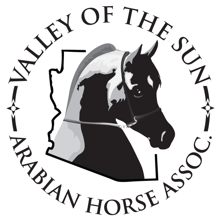 Sun Horse Show.gif