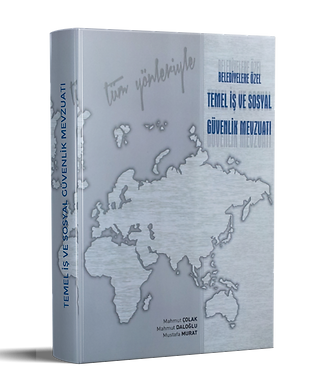 İŞ VE SOSYAL GÜVENLİK MEVZUATI KAPAK 3D.png