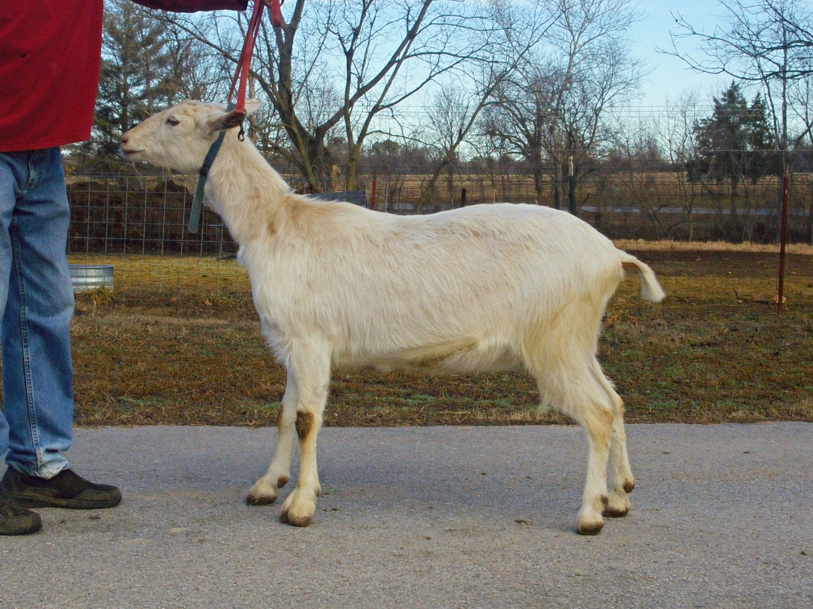 Eric J Wailes photo 6