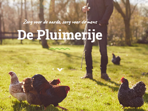 Blij en betrokken: mijn nieuwe rol als bestuurslid bij De Pluimerije