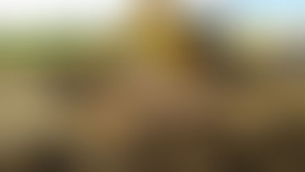 Is 1-to-1 Plant Training Right for You?