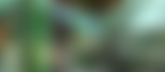 Corredor metropolitano de integración social