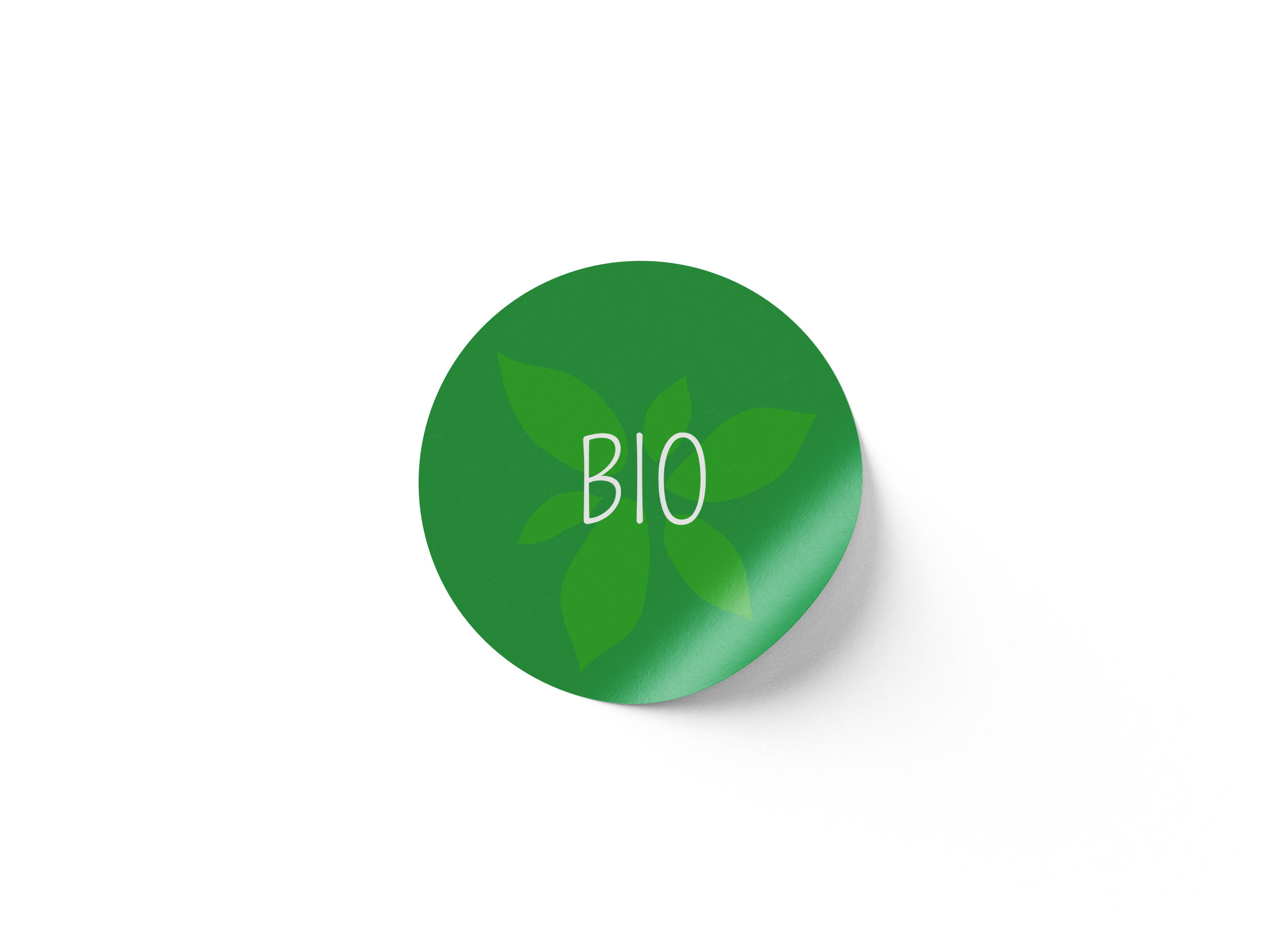 Bio